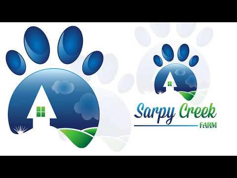 Mascot Logo Design In Illustrator Learn How To Create Professional Mascot Logo Design