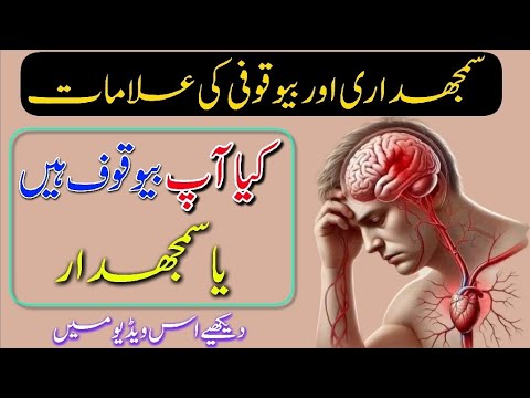 Samajhdari Aur Beaqoofi Ki Nishaniyan |Urdu Motivational Videos | Aqwal E Zareen | Life Changing