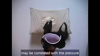 Charged Objects: I Am An Anal Probe