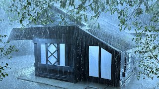 Sleep Soundly in 5 Minutes with Pouring Rain & Angry Thunder on Fragile Tin Roof in Deserted Forest