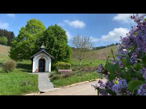 Mattheiser Wald - Niedermennig - Mariahof