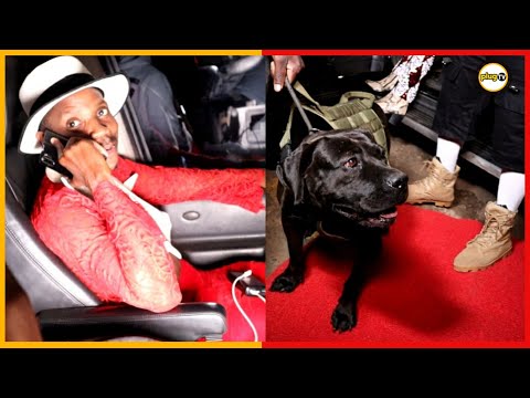 CHAOS as Eric Omondi shows up with sniffing Dogs at Butita's show |Plug Tv Kenya