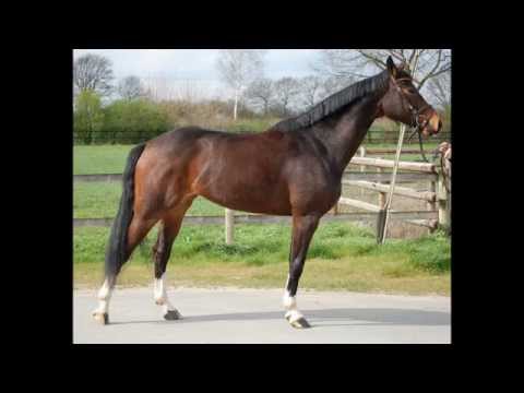 Die Kleine Pia Lotta