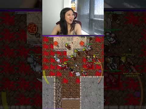 Tibia Monk & EK vs Carlin Cults | #ayceadventure on #Twitch #tibia #gaming