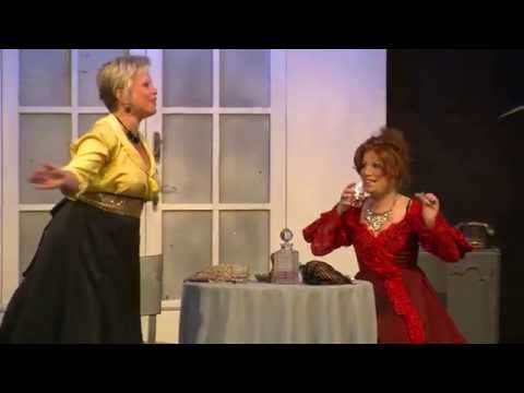 Brouk v hlavě - Dobřichovická divadelní společnost 7/2016