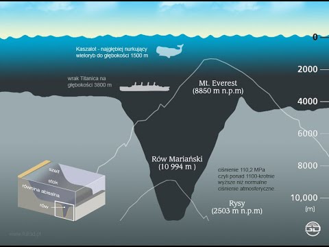 Podwodny wszechświat - zabójcze ciśnienie ^ Dokument ^ PL720p