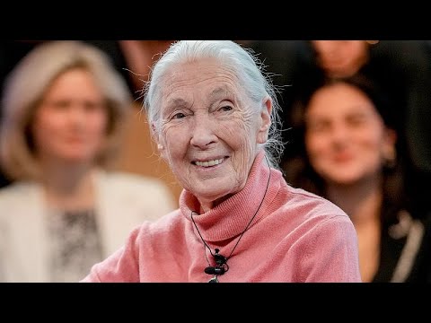 Jane Goodall (91), berühmte Primatologin und Aktivistin, ist tot