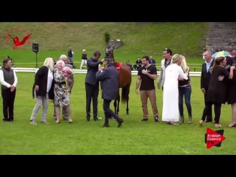 1ST N.29 H EMALEE H - Scandinavian Open Championship 2017 - Junior Fillies Championship (Class 35)