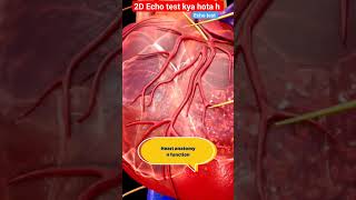 Download lagu What is 2D Echo l Echo test l Heart ultrasound #echo #shorts mp3 Download lagu What is 2D Echo l Echo test l Heart ultrasound #echo #shorts mp3