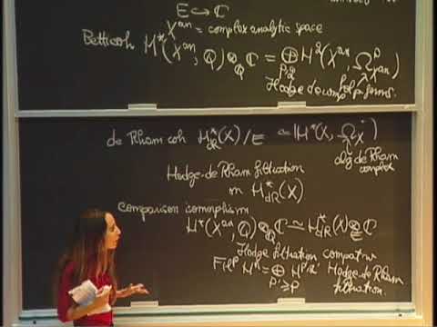 On the Hodge-Tate period map for Shimura varieties of Hodge type - Ana Caraiani [2014]