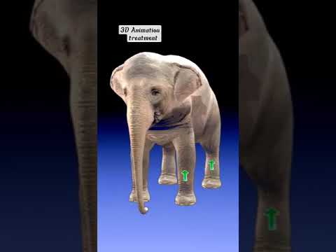 How snakes venom After Our body 👅 (3D Animation treatment)