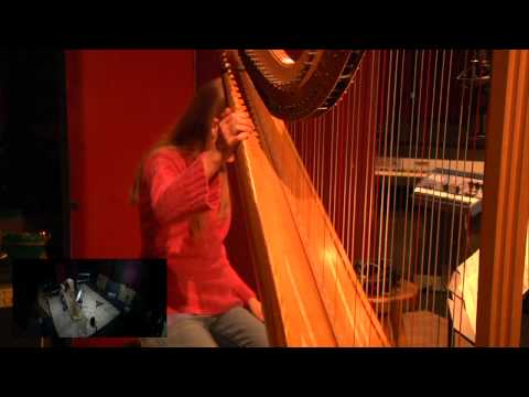 Linda Rose Hembreiker - Harp Session for Todd Boone at Studio City Sound, Dec. 9, 2013
