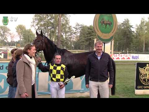 DOSTIHOVÝ DEN - SOBOTA 5.ŘÍJNA 2013 - LYSÁ NAD LABEM. REPORTÁŽ (full HD)