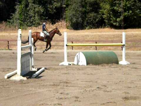 YOANN BERTHOME AND QUICK STEP  Z 6ans sur 145cm