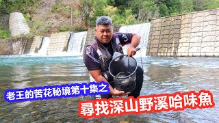 【溪釣苦花】老王的苦花祕境第十集之尋找深山野溪哈味魚｜蝦皮愛釣魚