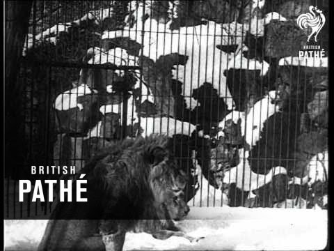 A New Experience For Them (1929)