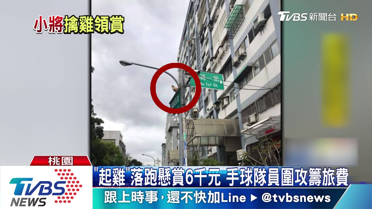 「起雞」落跑懸賞6千元 手球隊員圍攻籌旅費
