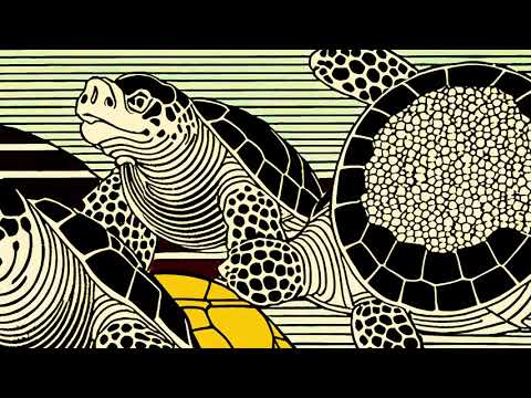 carbeau - Tartaruga (Official Video)