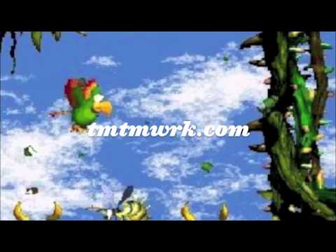 Team Teamwork - Biggie & Craig Mack - Flava In Ya Ear (Donkey Kong Country 2)