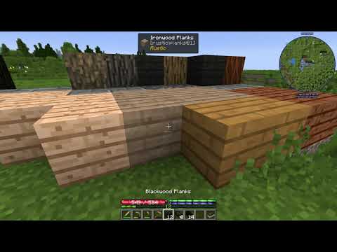 TerraFirmaCraft Reloaded 2 - Ep4 - Homemaker