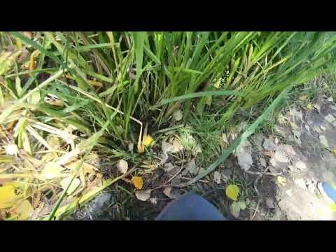 Gacka River 27-31 Agosto 2025