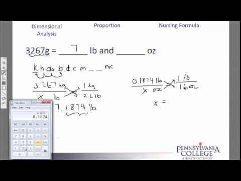 Simple Unit Conversions #9 grams to lb and oz