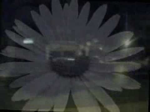 Un Cuento Sin Final - Mamut