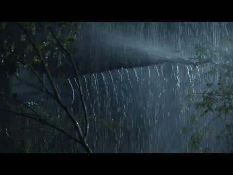 Pioggia Rilassante nella Foresta Nebbiosa per Dormire in 3 Minuti - Rumore della Pioggia e Temporale