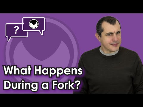 Bitcoin Q&A: What Happens During a Fork?