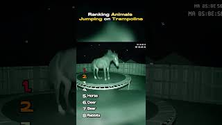 Ranking animals jumping on trampoline
