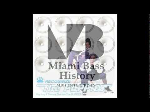 The Puppies - I gotcha baby