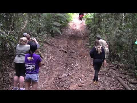 Suzuki Sierra, Taylors, Coffs Harbour, 6/5/17