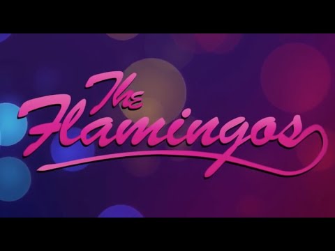 The Flamingos featuring Terry Johnson