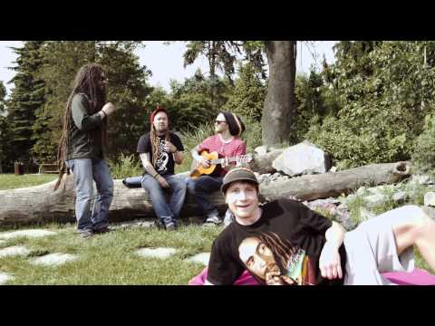 REGGAE V PARKU 2015 (spot)