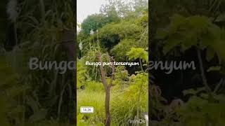 Download lagu symphony yang indah #jalanjalanmakanmakan #adem #sejuk mp3