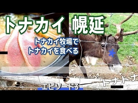[Horonobe] ¡Comí renos por primera vez! La ciudad de Toyotomi con deliciosa leche Cuaderno de viaje en el norte de Hokkaido