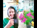 Purwaiya Leke Chali Meri Naiya Do Jasoos Melody