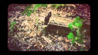 Lunatic Soul - The Fear Within (from Walking on a Flashlight Beam)