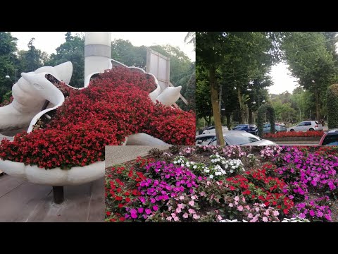 🔴The beautiful city of salsomaggiore/come with me guys/life in Italy...