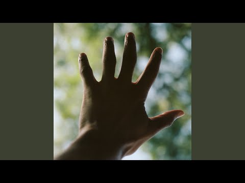 Wounded Deer video