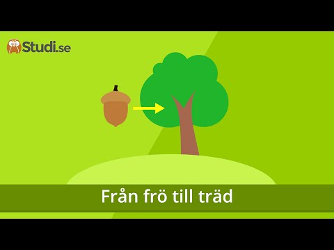 , title : 'Från frö till träd (Biologi) - www.binogi.se'
