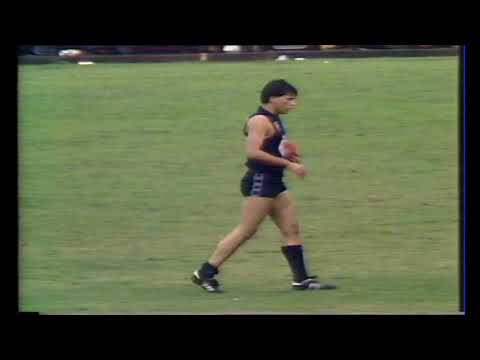 1983 Round 5 Carlton Highlights - Carlton vs Fitzroy