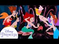 Conoce A Las Hermanas De Ariel LaSirenita Disney Princesa