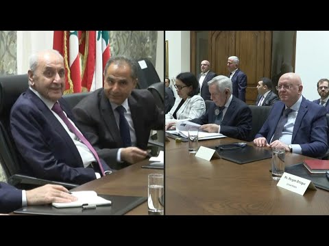 Video | UN Security Council delegation meets with Lebanese speaker Berri | AFP