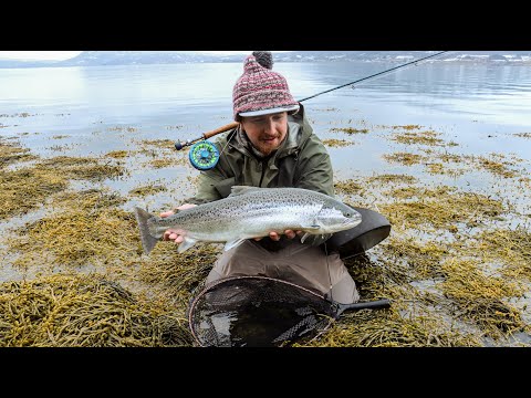 Meritaimenen perhokalastusta norjassa - Seatrout fly fishing in norway ENG SUBS!
