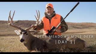 Deer Meadows I Mule Deer I Day 1