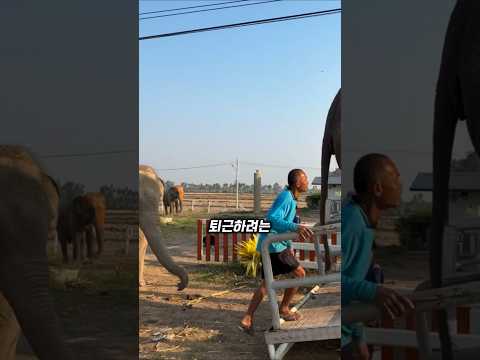 1톤짜리 껌딱지