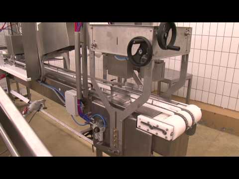 Szinte üres a kapuvári húsgyár