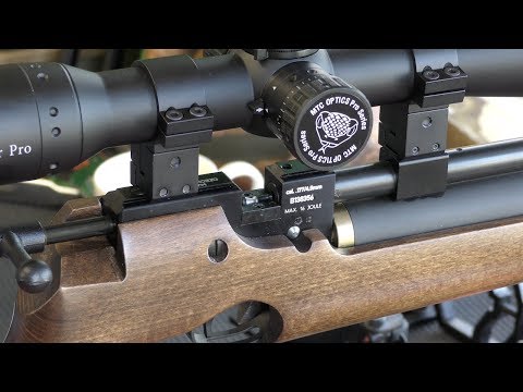 REVIEW: Air Arms S200 / CZ 200 Air Rifle - Squirrels Nuts @ 50 Yards