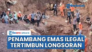 Penambang Emas Ilegal di Jayapura Tertimbun Longsor, Tim SAR Tak Bisa Pakai Alat Berat